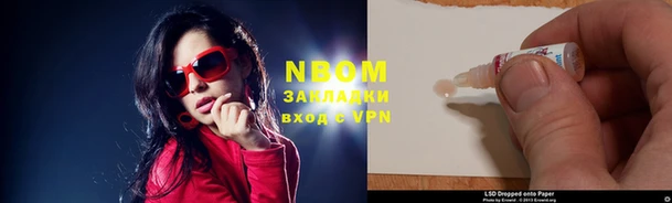 шишки Абаза