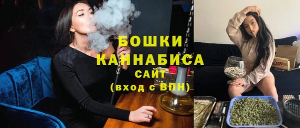 дмт Щучье