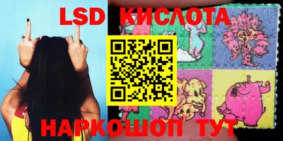 крисы Гусев