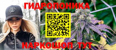 крисы Гусев
