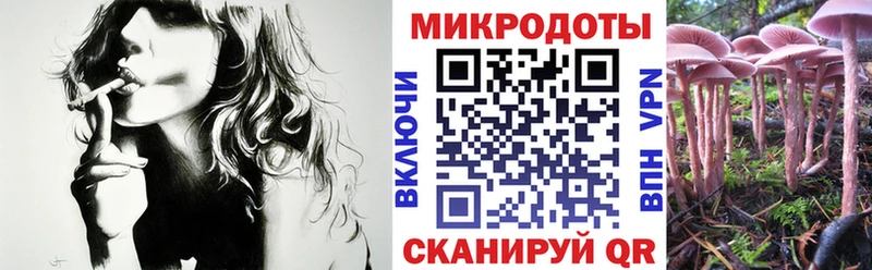 Галлюциногенные грибы мухоморы  что такое   Кропоткин 