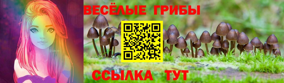 Кропоткин  Галлюциногенные грибы мицелий  Вход с VPN 