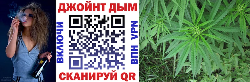 Конопля Ganja  Кропоткин 
